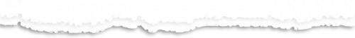 【攻略】跟我來(lái)，帶你玩轉(zhuǎn)2019世界機(jī)器人大會(huì) 
