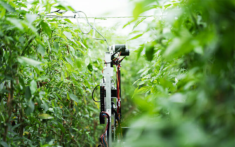 AGRIST  收割機(jī)器人