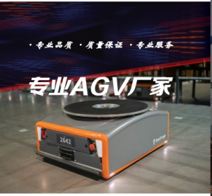 小車(chē)智能AGV背負(fù)式廣東潛伏式移動(dòng)agv車(chē)智能物流貨運(yùn)