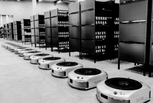 Cohesio 的Geek+ AMR 解決方案