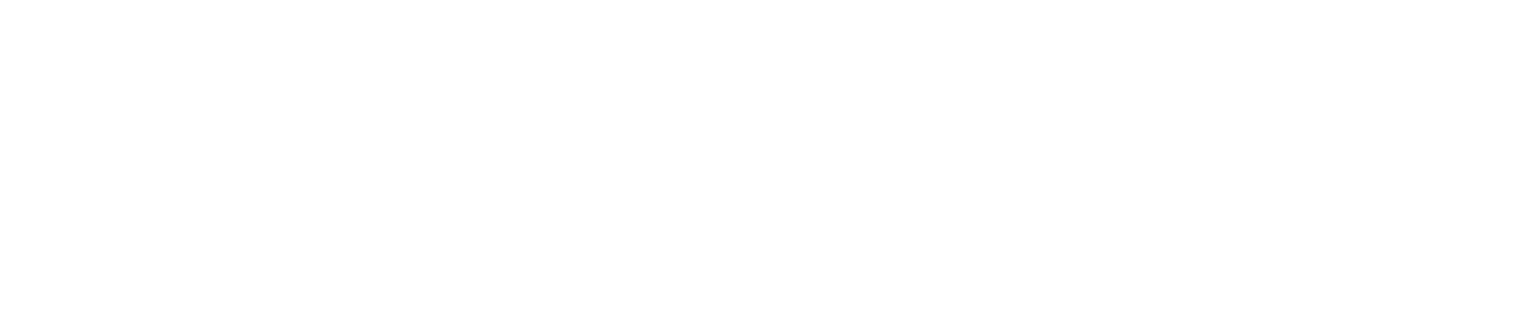 美國Ottonomous公司