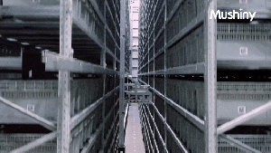 4月亞特蘭大見！牧星智能攜分揀+包裝+存儲全矩陣方案亮相MODEX