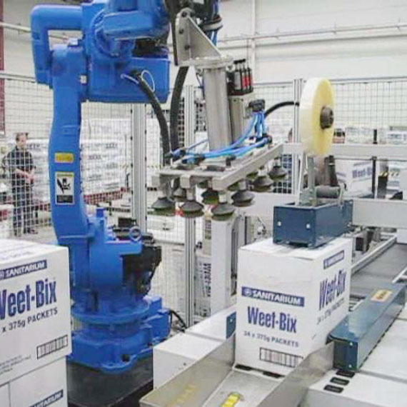 東莞力生搬運(yùn)碼垛機(jī)器人